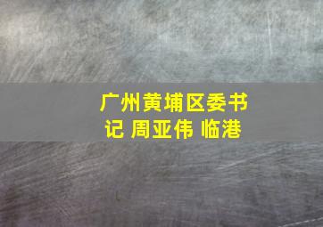 广州黄埔区委书记 周亚伟 临港